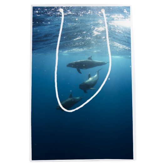 Dolphin-serie Medium Cadeauzakje (Voorkant)
