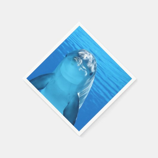 Dolphin Servet (Hoek)