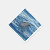 Dolphin Servet (Hoek)