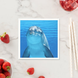 Dolphin Servet