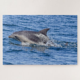 Dolphin Sighted puzzle Legpuzzel