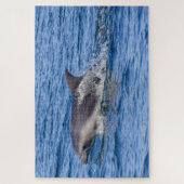 Dolphin Sighted puzzle Legpuzzel (Verticaal)