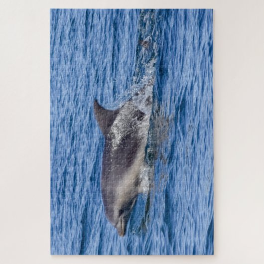Dolphin Sighted puzzle Legpuzzel (Verticaal)