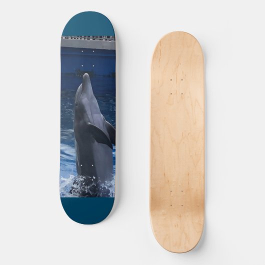 Dolphin Skateboard (Voorkant)