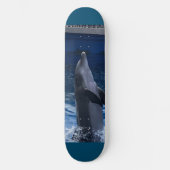 Dolphin Skateboard (Voorkant)