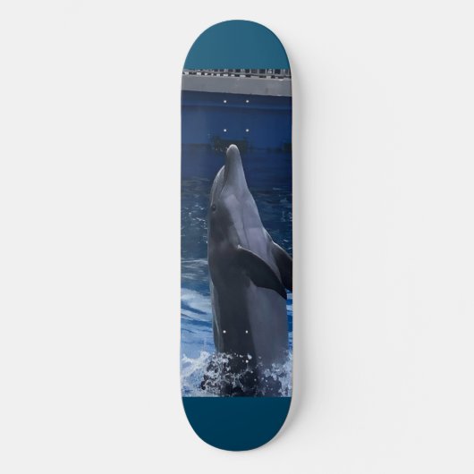 Dolphin Skateboard (Voorkant)