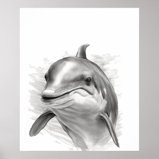 Dolphin Sketch Portret zwart wit Poster (Voorkant)