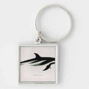 Dolphin Sleutelhanger