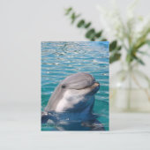 Dolphin Smile Briefkaart (Staand voorkant)