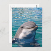 Dolphin Smile Briefkaart (Voorkant / Achterkant)