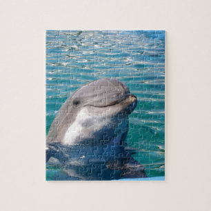 Dolphin Smile Legpuzzel