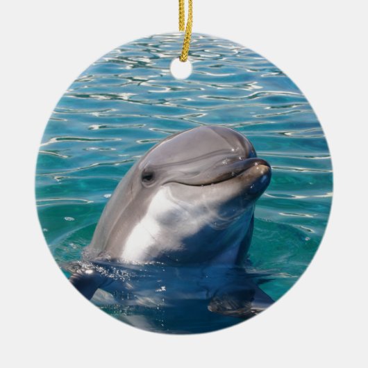 Dolphin Smile, personaliseer je als gewenst Keramisch Ornament (Voorkant)