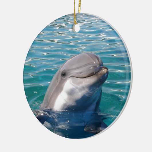 Dolphin Smile, personaliseer je als gewenst Keramisch Ornament (Links)