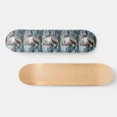 DOLPHIN SMILE Skateboard (Horizontaal)