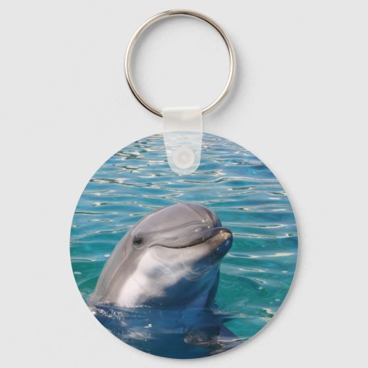 Dolphin Smile Sleutelhanger (Voorkant)