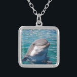 Dolphin Smile Zilver Vergulden Ketting<br><div class="desc">Deze mooie dolfijn drukt het genoegen uit u te zien. Precies wat elke dolfijnliefhebber wil.</div>