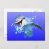 Dolphin Smiling Briefkaart (Voorkant / Achterkant)