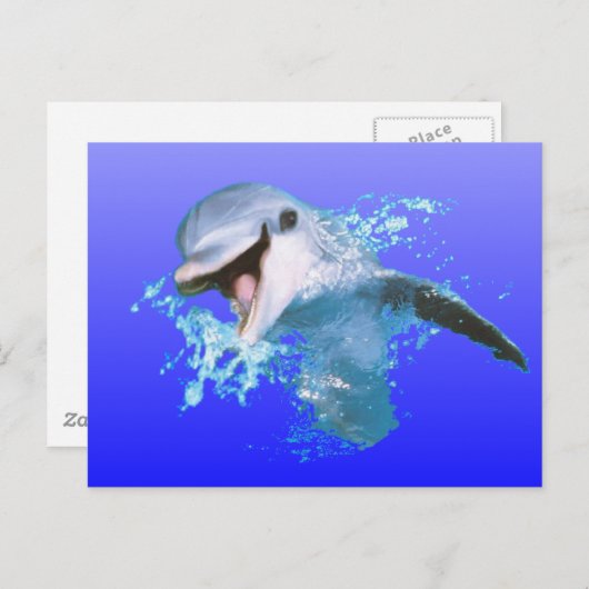 Dolphin Smiling Briefkaart (Voorkant / Achterkant)