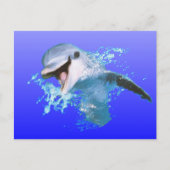 Dolphin Smiling Briefkaart (Voorkant)