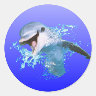 Dolphin Smiling Ronde Sticker