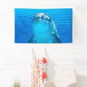 Dolphin Spandoek (Insitu)