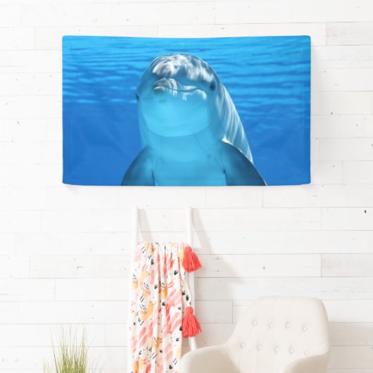Dolphin Spandoek (Insitu)