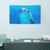 Dolphin Spandoek (Beurs)