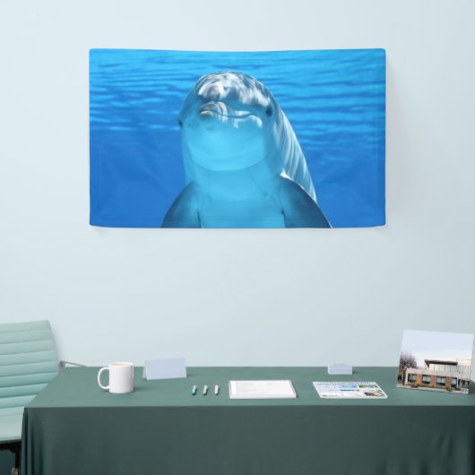 Dolphin Spandoek (Beurs)