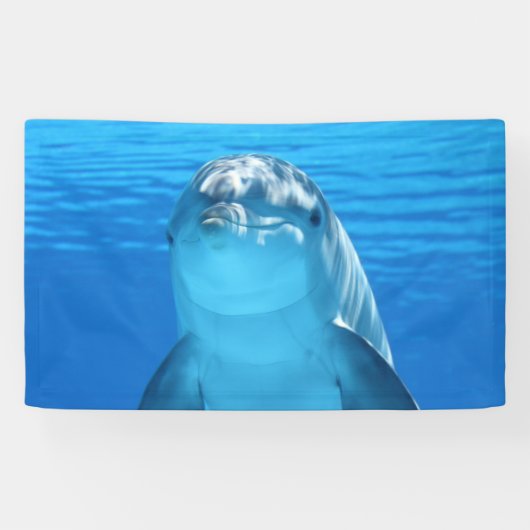 Dolphin Spandoek (Horizontaal)