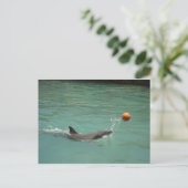 Dolphin-speelbal Briefkaart (Staand voorkant)