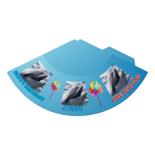 Dolphin Splash Birthday Feesthoedjes (Voorkant)