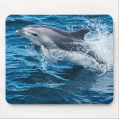 Dolphin Splashing Muismat (Voorkant)