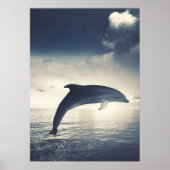 Dolphin springt uit de waterkunst poster (Voorkant)