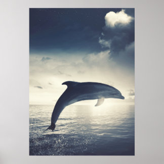 Dolphin springt uit de waterkunst poster