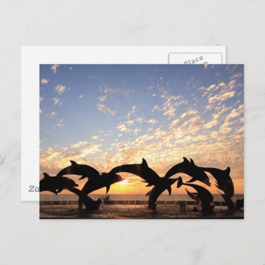Dolphin springt van het water bij zonsondergang briefkaart (Voorkant / Achterkant)