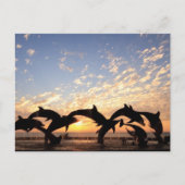 Dolphin springt van het water bij zonsondergang briefkaart (Voorkant)