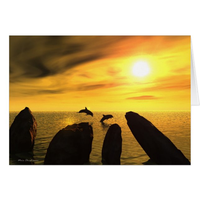 Dolphin Stones (Voorkant Horizontaal)