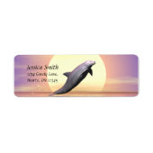 Dolphin Sun Etiket (Voorkant)