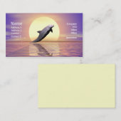 Dolphin Sun Visitekaartje (Voorkant / Achterkant)