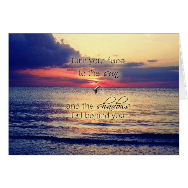 Dolphin Sunset (Voorkant Horizontaal)