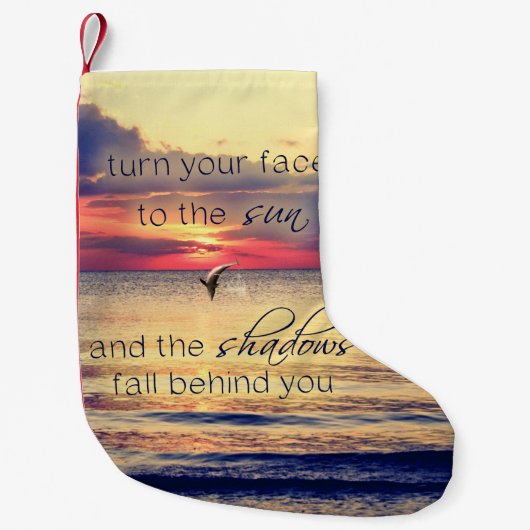 Dolphin Sunset Kleine Kerstsok (Voorkant)