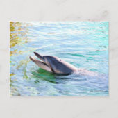 Dolphin Swimming Briefkaart (Voorkant)