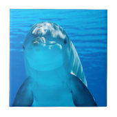 Dolphin Tegeltje (Voorkant)