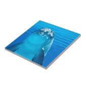 Dolphin Tegeltje (Zijkant)