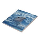 Dolphin Tegeltje (Zijkant)