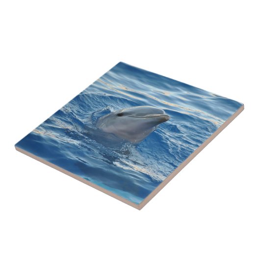 Dolphin Tegeltje (Zijkant)