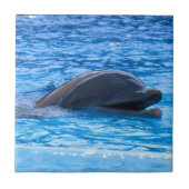 Dolphin Tegeltje (Voorkant)