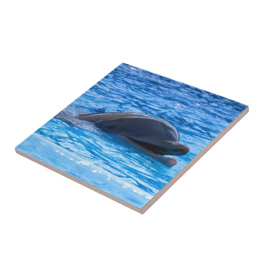 Dolphin Tegeltje (Zijkant)