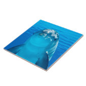 Dolphin Tegeltje (Zijkant)