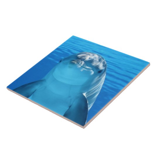 Dolphin Tegeltje (Zijkant)